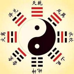 八卦王